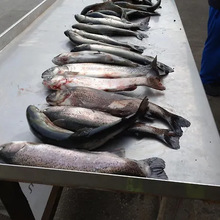 Gaestezimmer M. Schubert *