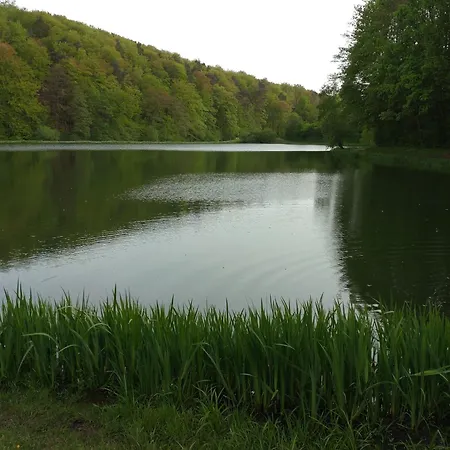 Appartement Gaestezimmer M. Schubert *