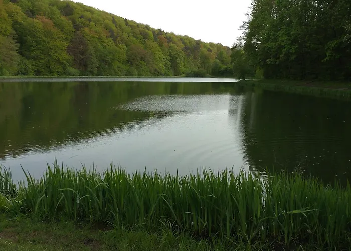 Lägenhet Gästezimmer M. Schubert *